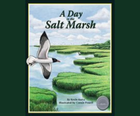 A_Day_in_the_Salt_Marsh
